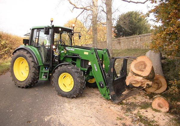 tree removal by bexhill tree surgeons