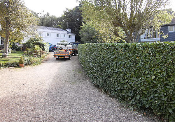 hedge cutting by bexhill tree surgeons