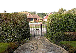 hedge maintenance by bexhill tree surgeons