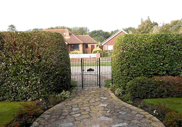 Hedge maintenance by bexhill tree surgeons